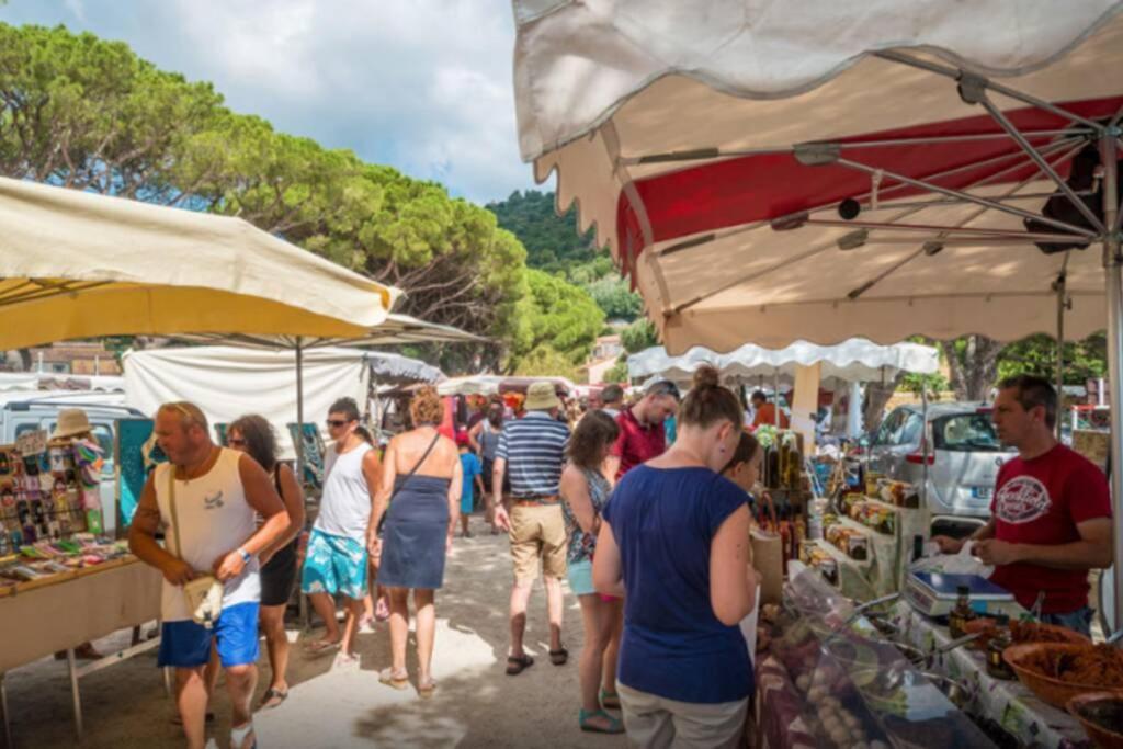Magnifique Studio A 50M De La Plage De Cavaliere - Studio Tamarindo 勒拉旺杜 外观 照片