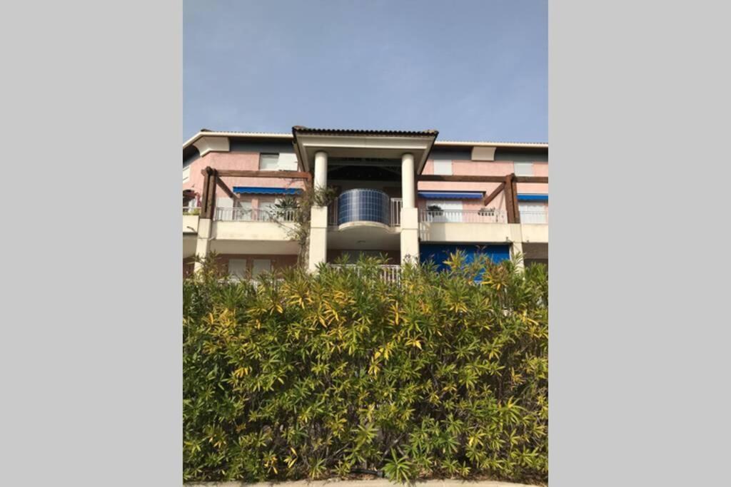 Magnifique Studio A 50M De La Plage De Cavaliere - Studio Tamarindo 勒拉旺杜 外观 照片