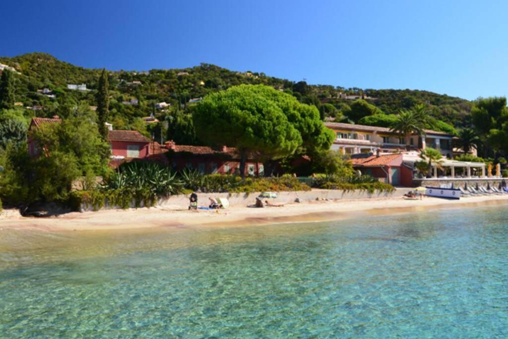 Magnifique Studio A 50M De La Plage De Cavaliere - Studio Tamarindo 勒拉旺杜 外观 照片