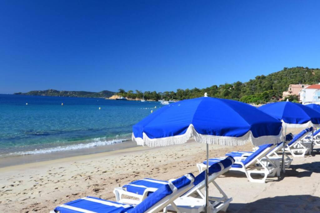 Magnifique Studio A 50M De La Plage De Cavaliere - Studio Tamarindo 勒拉旺杜 外观 照片